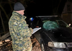 Пьяный водитель насмерть сбил 14-летнюю девочку в Ржаксинском районе
