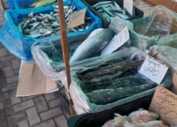 В Тамбовской области на ярмарках торговали продуктами неизвестного происхождения