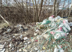 Во время рейда на Студенце обнаружены свалки мусора и сток канализации в реку