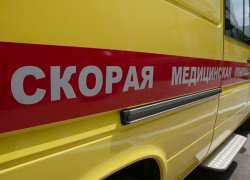 В Тамбове на женщин упало дерево