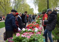 Тамбовский парк культуры на три дня расцветёт ярмаркой садовой флоры