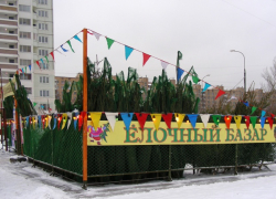 Елочные базары в Мичуринске готовы к работе