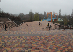 На спуске к Набережной в городском парке Тамбова высадят можжевельник и черную сосну