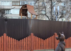 Дело о детском городке на Набережной Тамбова стало уголовным