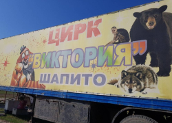 Застрявший в Тамбове из-за пандемии цирк-шапито хочет остаться здесь навсегда