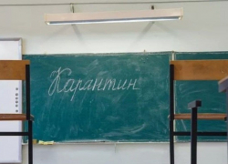 В Тамбове почти 230 классов в школах закрыты на карантин