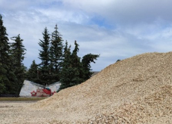 Прокуроры накажут подрядчика за бездействие при ремонте дорог в Мучкапском районе