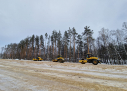 Путепровод в районе посёлка Новая Ляда могут построить раньше срока
