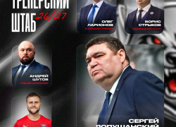 Бронза МХЛ, серебро ВХЛ и тамбовский старожил: кто будет тренировать ХК «Тамбов»