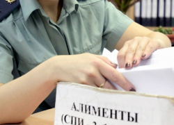 Более 560 миллионов рублей  задолжали тамбовские алиментщики