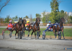На тамбовском ипподроме выступили лучшие лошади России