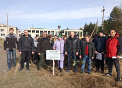 Тамбовчане заложили парк Дружбы в Новоайдарском районе ЛНР