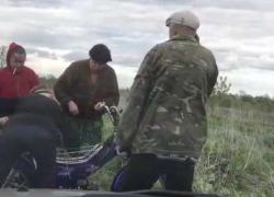 Жительнице села Серповое предъявлено обвинение за оскорбление сотрудника ДПС