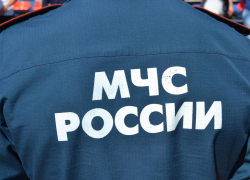 В Первомайском районе из пруда достали тело мужчины