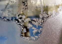 В Тамбове первая рабочая неделя обещает быть снежной и морозной