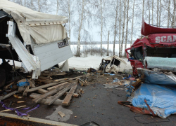В Сампурском районе столкнулись два грузовика: водители погибли