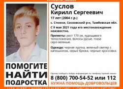 В Сосновском районе третьи сутки ищут пропавшего подростка