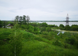 В пруду в Бокино всплыло тело 36-летнего тамбовчанина