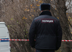 "Заминированные" тамбовские школы проверяют сотрудники полиции