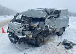 В ДТП на трассе “Тамбов-Пенза” погиб один человек