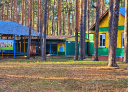 В Тамбовской области дети смогут получить компенсации за путёвки в оздоровительные лагеря