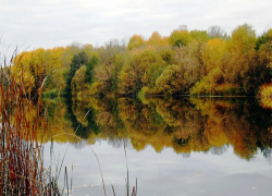 Тамбовчане на выходных смогут в полной мере насладиться осенью 
