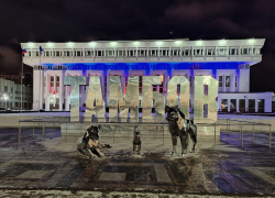 В Тамбове на площади Ленина поселилось семейство хромированных волков