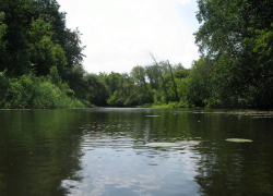 В Сосновском районе маслосырзавод сливал неочищенные стоки в реку