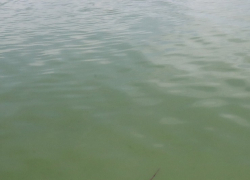 В Цне возле села Донское нашли тело женщины 