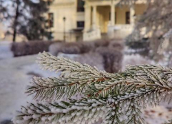 Конец первой мартовской недели в Тамбове будет слегка морозным и ветреным