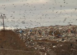 Тамбовчане устали жить под боком огромной мусорной свалки «КомЭк» и требуют её закрытия
