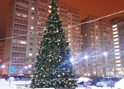 Около 100 новогодних ёлок установят во дворах Тамбова