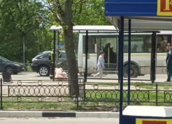 В Тамбове подозрительных плюшевых зайцев проверили сапёры