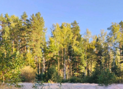 Воздух в Тамбове на выходных прогреется до 20 градусов тепла