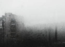 Начало зимы в регионе будет дождливым и туманным