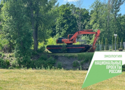 В Тамбове начали вырубать растительность в парке Дружбы для расчистки Цны