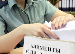 Более 500 тысяч задолжала по алиментам на ребенка «мать-кукушка» из Уметского района 
