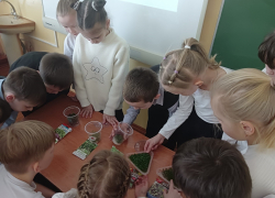 Мичуринские школьники попробовали вырастить микрозелень с использованием вторсырья на эко-уроке