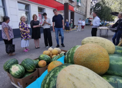 Микрорынок на Белом Баке продолжит работу
