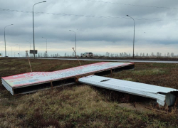 В Тамбове из-за ночного урагана 14 лицей остался без света, в Асеевском парке упали деревья 