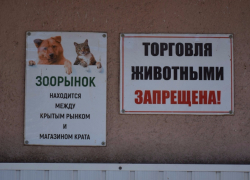 Контроль за торговлей животными в Тамбове ужесточат