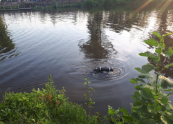 В пригороде Мичуринска утонул ребёнок