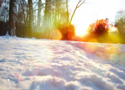 Лёгкий мороз и яркое солнце порадуют тамбовчан в начале рабочей недели