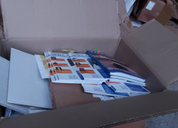 «Тамбовская сетевая компания» приняла участие во всероссийской экологической акции 