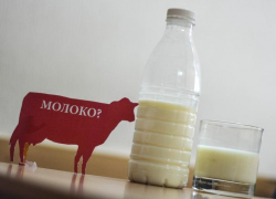 В регионе две тонны фальсифицированной «молочки» поставили в социальные учреждения