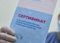 В Тамбовской области выявлено ещё несколько случаев «липовой» вакцинации