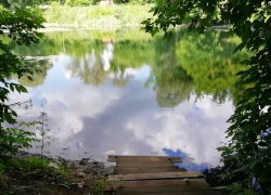 Администрация региона подала в суд на АО «ТКС» за загрязнение реки Чумарса