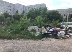 Монополия в мусорной сфере. Закат империи