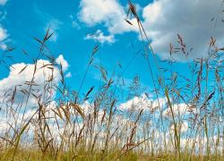 В Тамбовскую область возвращается жара