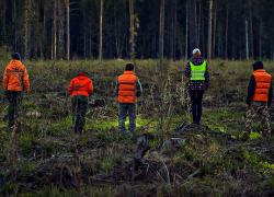 Полиция разыскивает жителя Кирсановского района